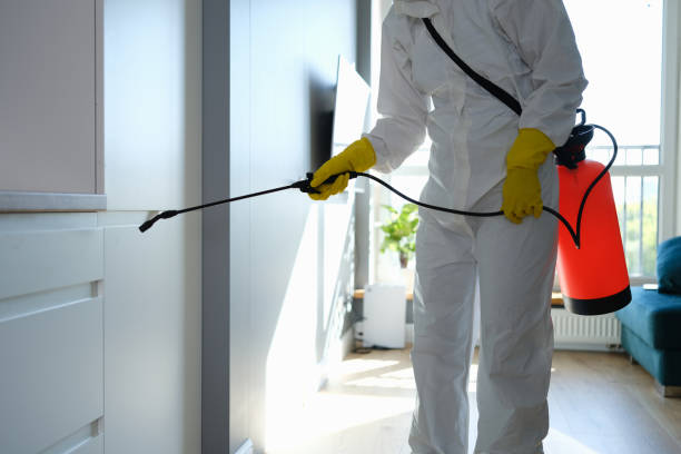 Professional Mold Remediation in Gananda, NY