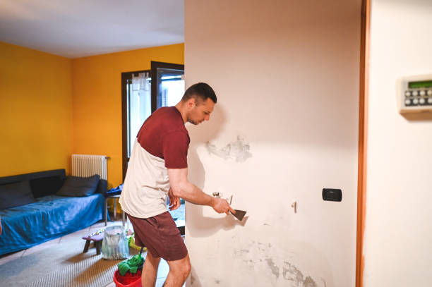Best Bathroom Mold Remediation in Gananda, NY